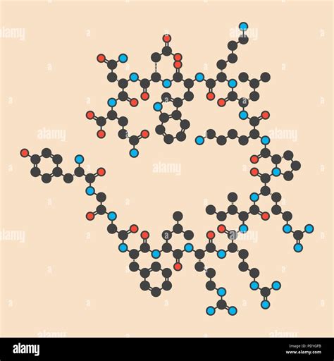 Dynorphin a endogenous opioid peptide molecule. Stylized skeletal formula (chemical structure ...