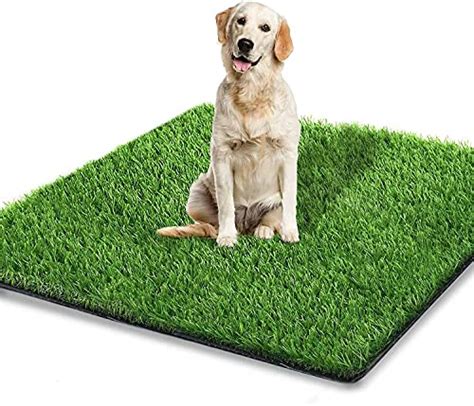 Top 10 Artificial Grass For Dog Runs of 2022 - Best Reviews Guide