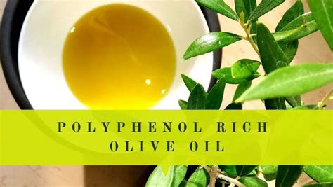 Polyphenol Rich Olive Oil Benefits | Levels | Other Facts | Oliviada