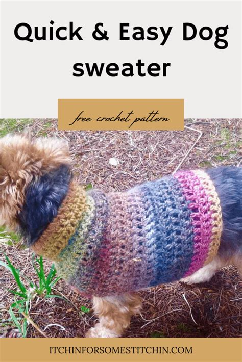 Quick and Easy Small Dog Crochet Sweater: Free Pattern