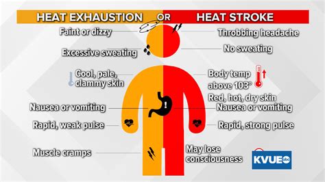 Heat stroke vs. heat exhaustion: Know the warning signs | kens5.com