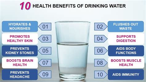 10 Health Benefits of Drinking Water