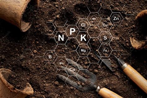 Mineral Riches in the Soil - Types, Uses, and Minerals Present