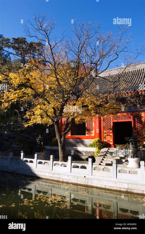 autumn colours at a temple in Fragrant Hills Park in the Western Hills ...