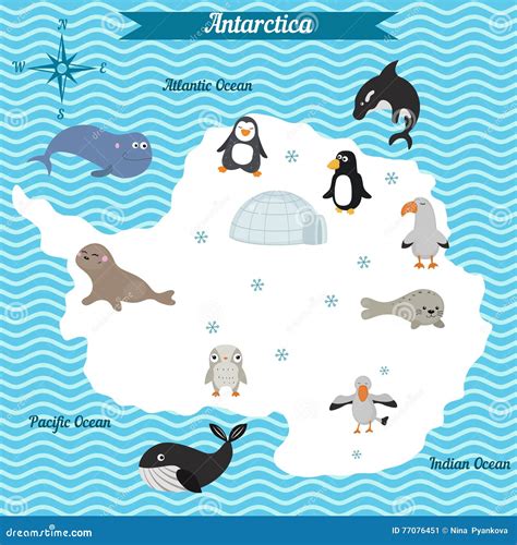 Cartoon Map Of Antarctica Continent With Different Animals. Cartoon Vector | CartoonDealer.com ...