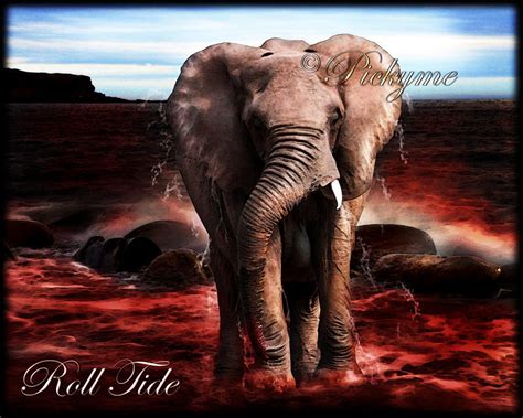 Crimson Tide by Pickyme on DeviantArt