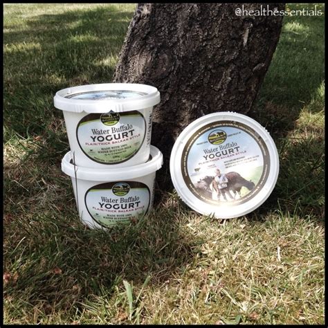 New Product: Water Buffalo Yogurt - Health Essentials