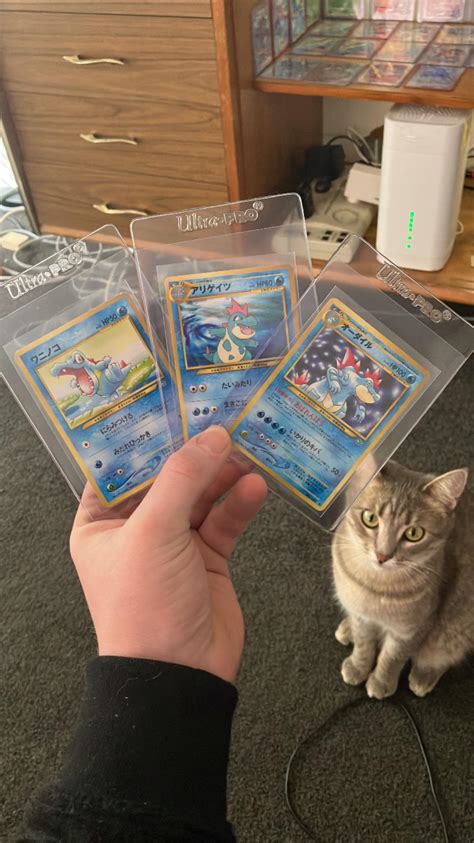 3 Neo Genesis Cards and my Cat 😂 : PokemonTCG