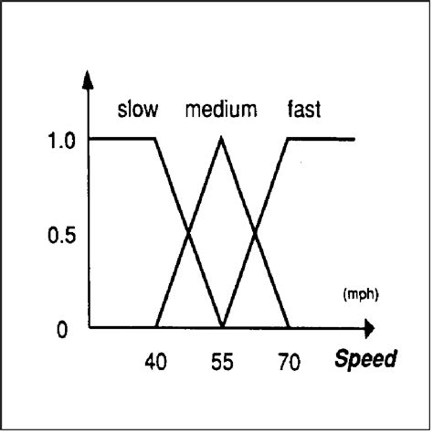 Fuzzy Web Example