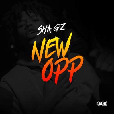 Sha Gz - New Opp (Instrumental) (Prod. By Sou) - Hipstrumentals