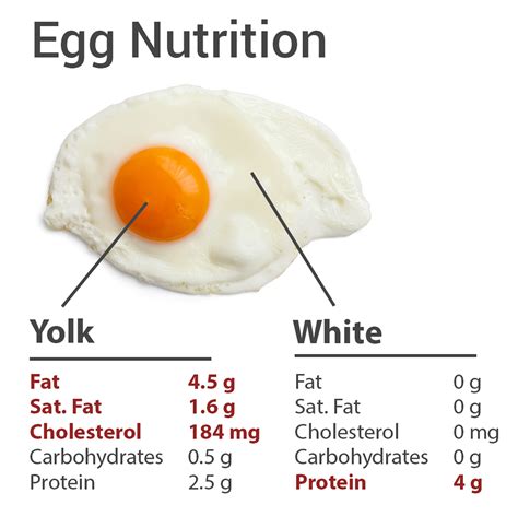 Raw Egg White & Egg Yolk Nutrition Facts - Danger of Eating Raw Egg