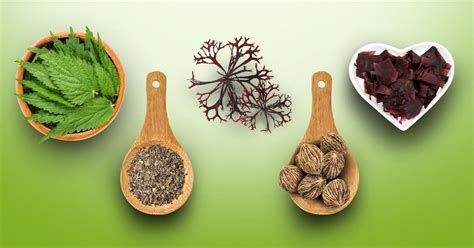 5 Herbs That Can Help Support Thyroid Health and Function – Go Nutrients