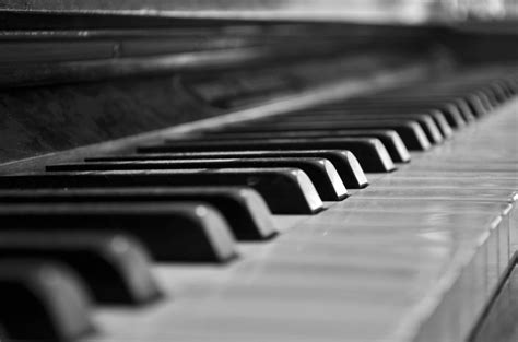 Fotos gratis : mano, en blanco y negro, teclado, tecnología, piano, músico, monocromo ...