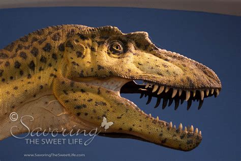 Dino Jaws! San Diego Natural History Museum Dinosaur Exhibit – Savoring the Sweet Life Blog