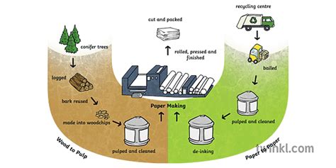 Topics The Paper Making Process KS2 Illustration - Twinkl