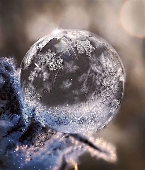 Pin by Buffie Brown on Christmas & Winter Scenes ll | Snowflake photography, Winter scenery ...