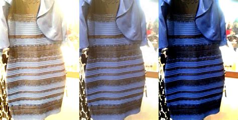 The Science of Why No One Agrees on the Color of This Dress | WIRED