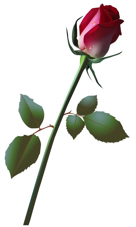 Rose bud clipart 20 free Cliparts | Download images on Clipground 2020