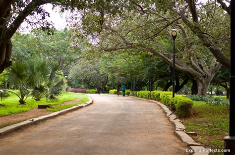 Lalbagh Botanical Garden in Bangalore — World Ghoomo