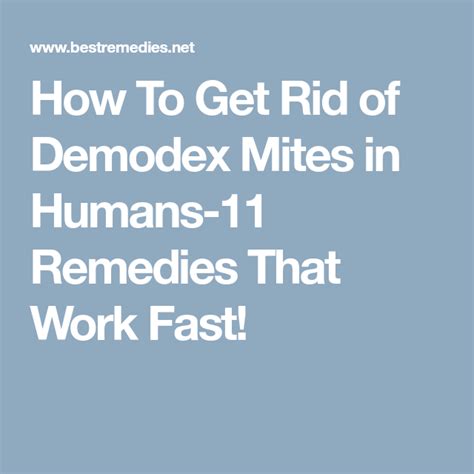 How To Get Rid of Demodex Mites in Humans-11 Remedies That Work Fast! | Demodex mites, Demodex ...