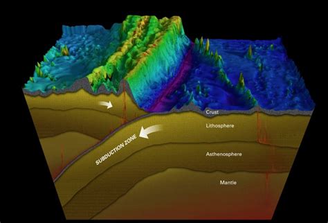 In Photos: ROV Explores Deep Ocean Trench | Live Science