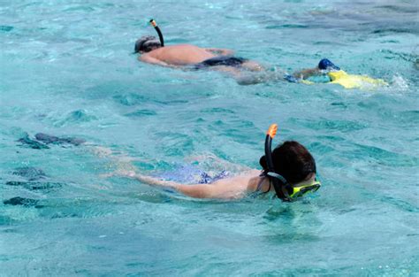 10+ Snorkeling Cook Islands Aitutaki Couple Stock Photos, Pictures ...