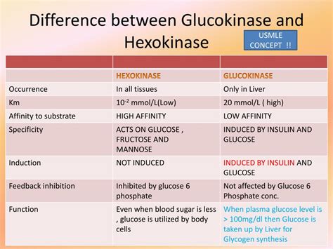 PPT - Basic Concepts in Metabolism and Regulation of Blood sugar levels PowerPoint Presentation ...