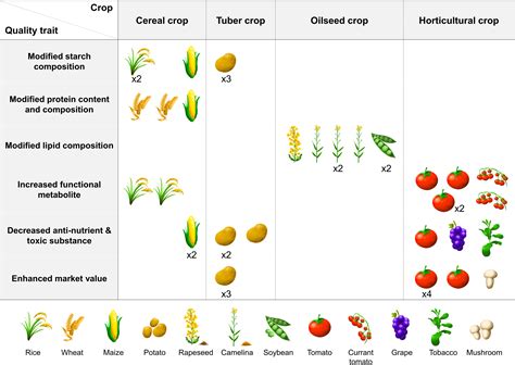 Frontiers | Improving Nutritional and Functional Quality by Genome Editing of Crops: Status and ...
