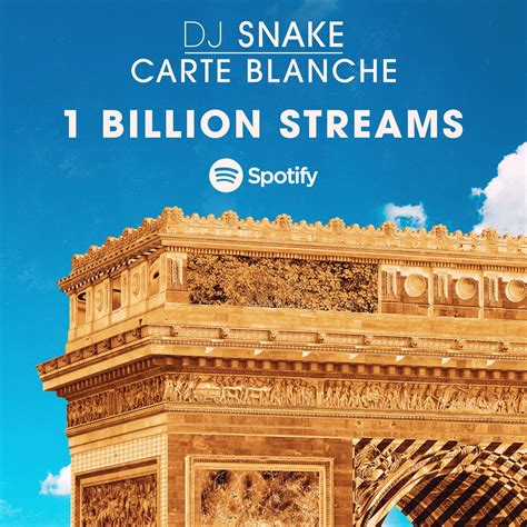 Dj Snake Album Cover