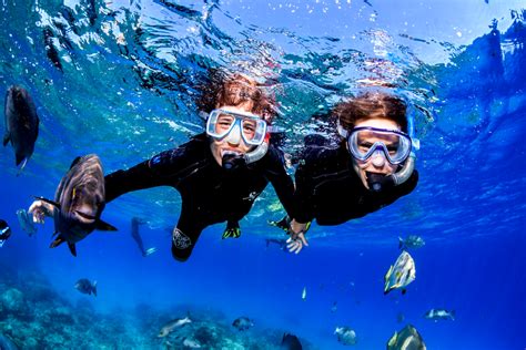 Cairns Reef Tours - Explore the Great Barrier Reef