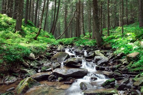 Premium Photo | Beautiful deep forest waterfall