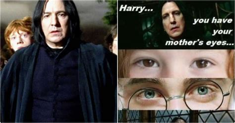 Harry Potter: 10 Memes That Prove Snape Was The Real Hero