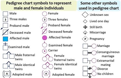 Pedigree Analysis Chart - Definition, Symbols, Types & Examples ...