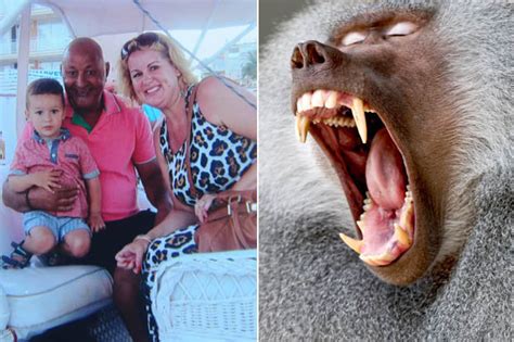 Ryan Giggs’ dad ATTACKED by baboons in safari scare | Daily Star