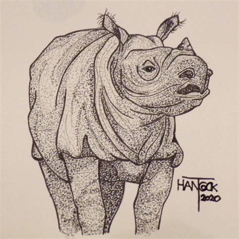 Javan Rhino Sketch by TraceyHancockArt on DeviantArt