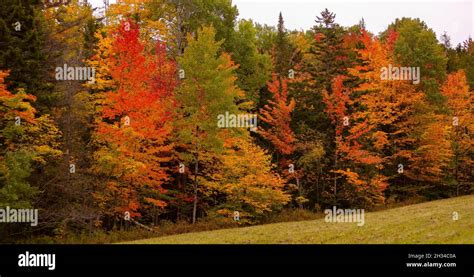 WARREN, VERMONT, USA - Fall foliage, autumn color in Mad River Valley ...