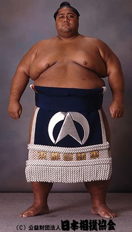 List Of Biggest Sumo Wrestler In The World - FancyOdds