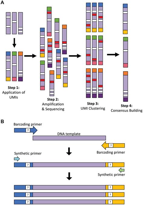 LUCS: a high-resolution nucleic acid sequencing tool for accurate long-read analysis of ...