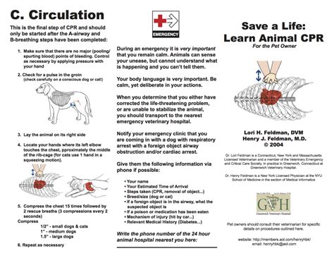 CPR For Your Pet | TFE Times