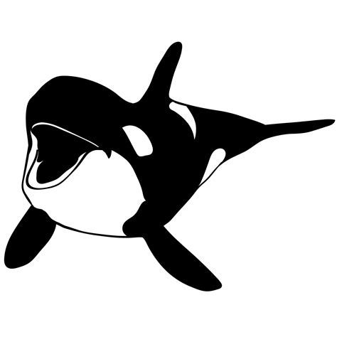 orca killer whale - Download Free Vectors, Clipart Graphics & Vector Art