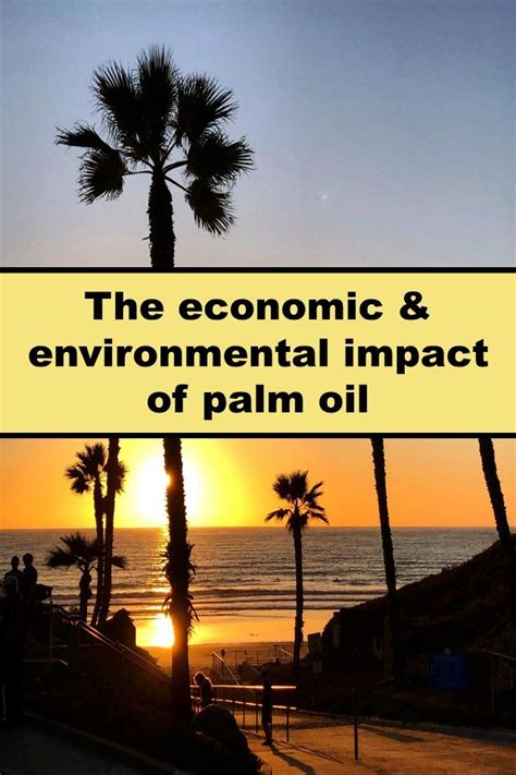 Economic & environmental impact of palm oil | Environmental impact ...