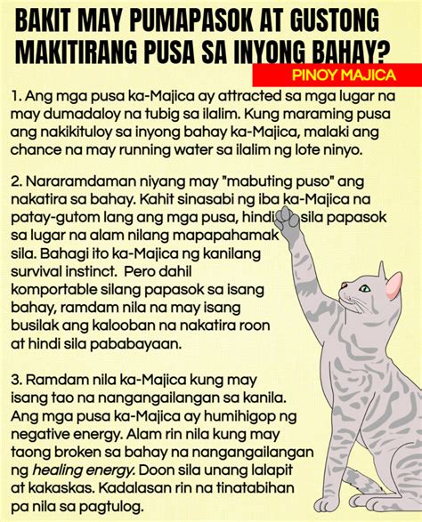 Swerte Ba Ang Pusa Sa Bahay – Halimbawa