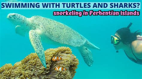 Snorkel Trip in Perhentian Island, Terengganu: BEST snorkeling in Malaysia? - MALAYSIA TRAVEL ...