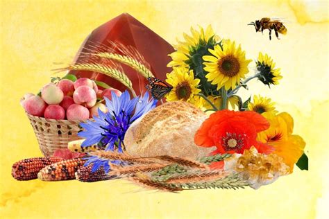 Lammas - The Unique 1st Harvest Festival