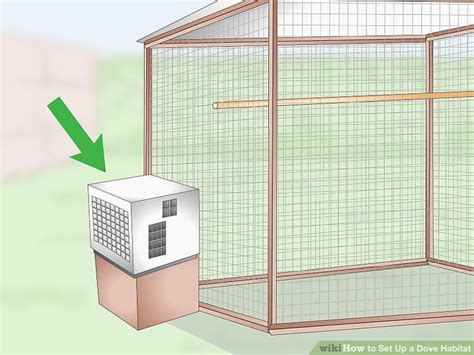 3 Ways to Set Up a Dove Habitat - wikiHow Pet