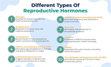 High Testosterone In Women: Causes, Symptoms, And Normal Levels