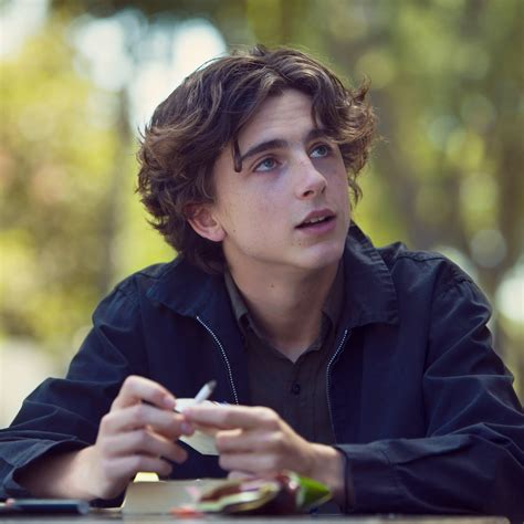 Timothee Chalamet - Timothee Chalamet 10 Best Films Ranked In Order Of ...