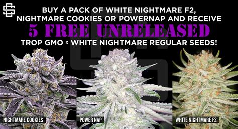 White Nightmare F2 (Reg) - Insane Seeds