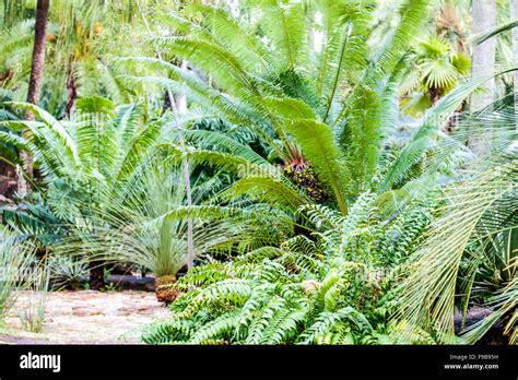 Thai style flower garden Stock Photo - Alamy