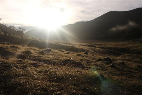 Premium Photo | Sunrise over the mountain range at the mountain gede pangrango indonesia